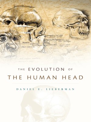 cover image of The Evolution of the Human Head